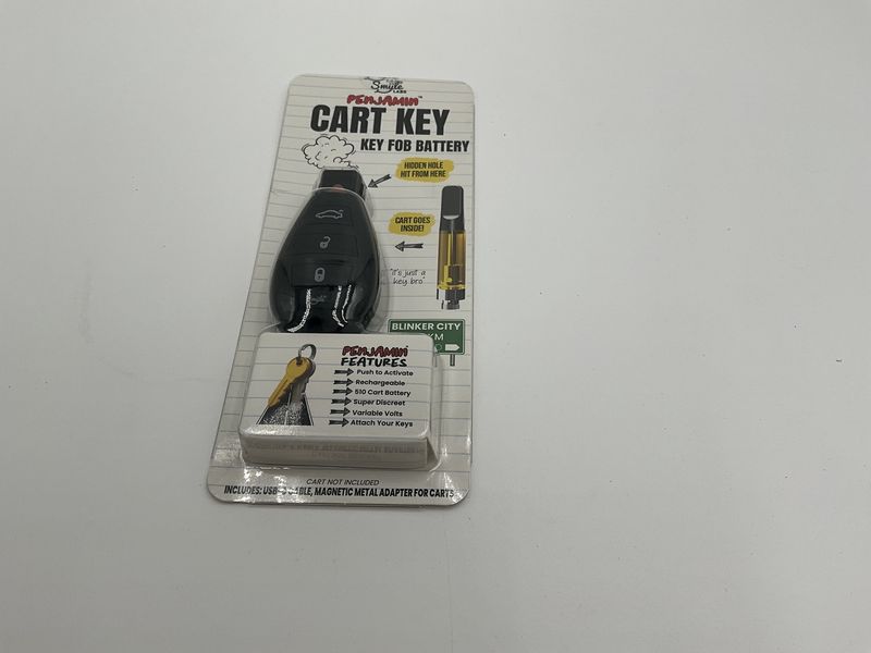 Penjamin key fob battery