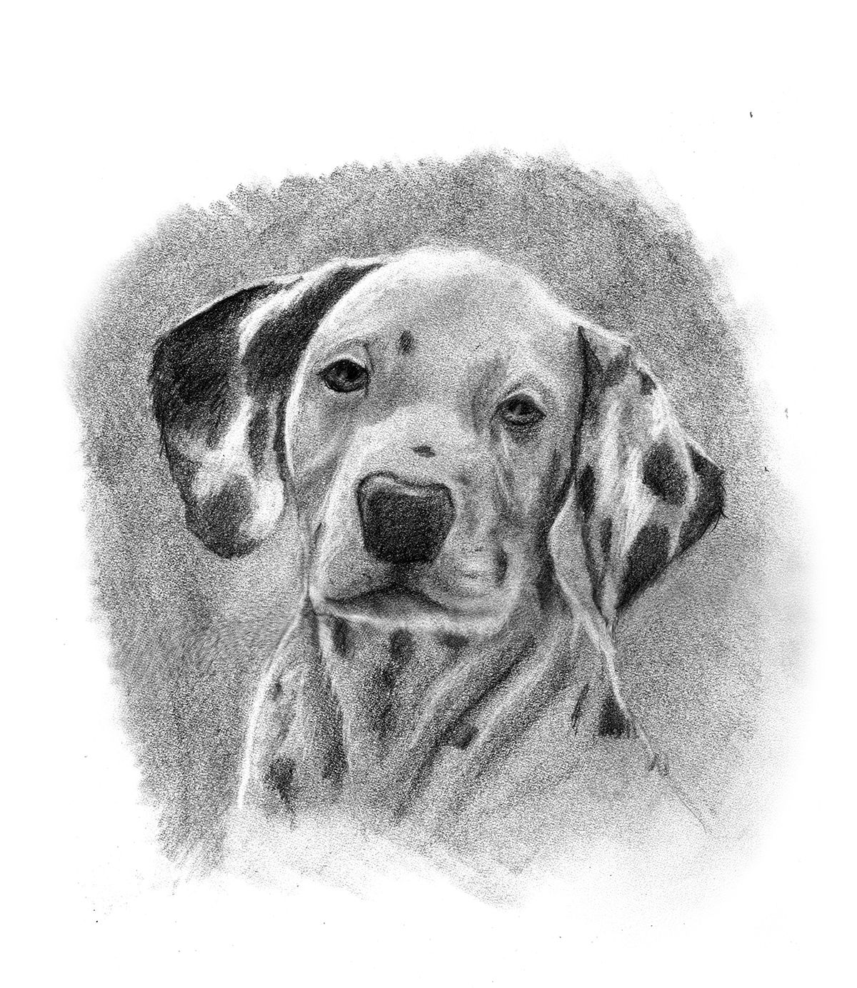 Drawing Art Class Animal  Wednesday, July 30 and Thursday, July 31 3:00 to 5:00 pm