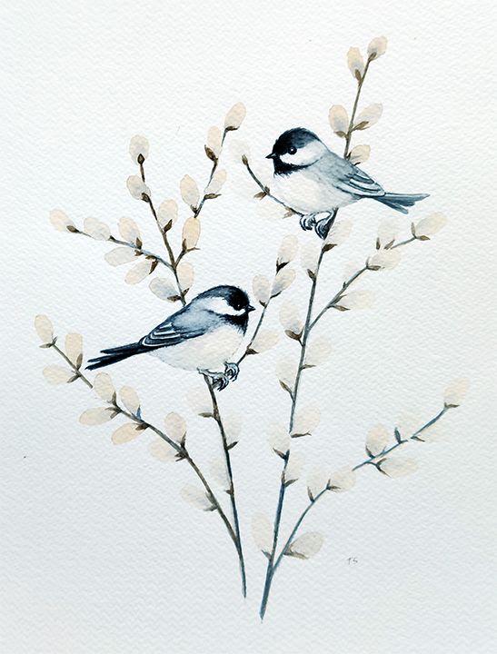 Watercolour Art Class ~ Chickadee and pussywillows ~ Sunday, March 16 3:15 to 5:15 pm