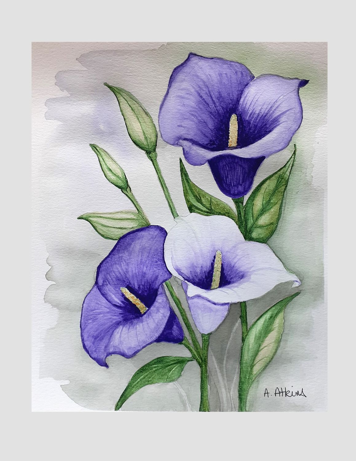 Watercolour Art Class Calla Lilies Wednesday, May 7 4:30 to 6:30 pm