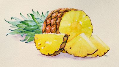 Watercolour Art Class Pineapple Wednesday, June 18, 6:00 to 8:00 pm