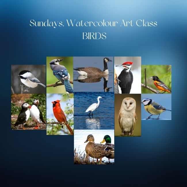 Sunday 1:00 to 3:00 pm Watercolour Art Class Birds