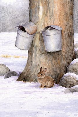 Sunday, March 8, 3:00 to 5:00 pm A Taste of Spring Watercolour Art Class