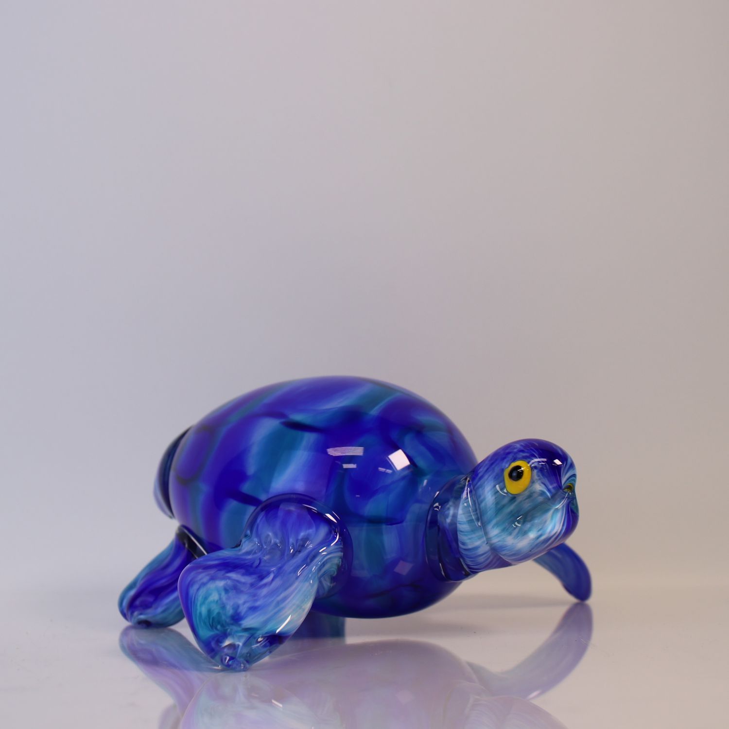 Hudson Turtle, Color: Aqua/Cobalt