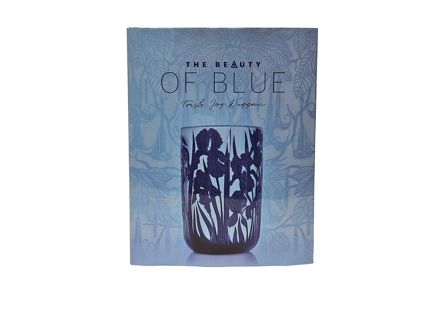 IM The Beauty of Blue Book