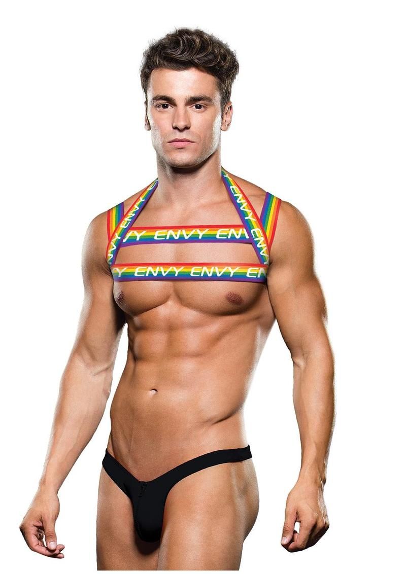 Rainbow Harness, COLOR: Rainbow, Size: Small-Medium
