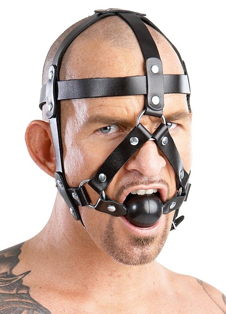 Leather Head Harness, Size: ASSORTED, COLOR: BLACK