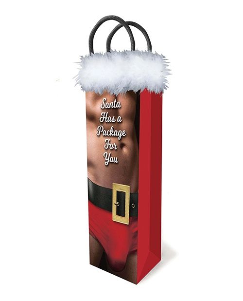 Santa has a Package for You Bag, COLOR: Red