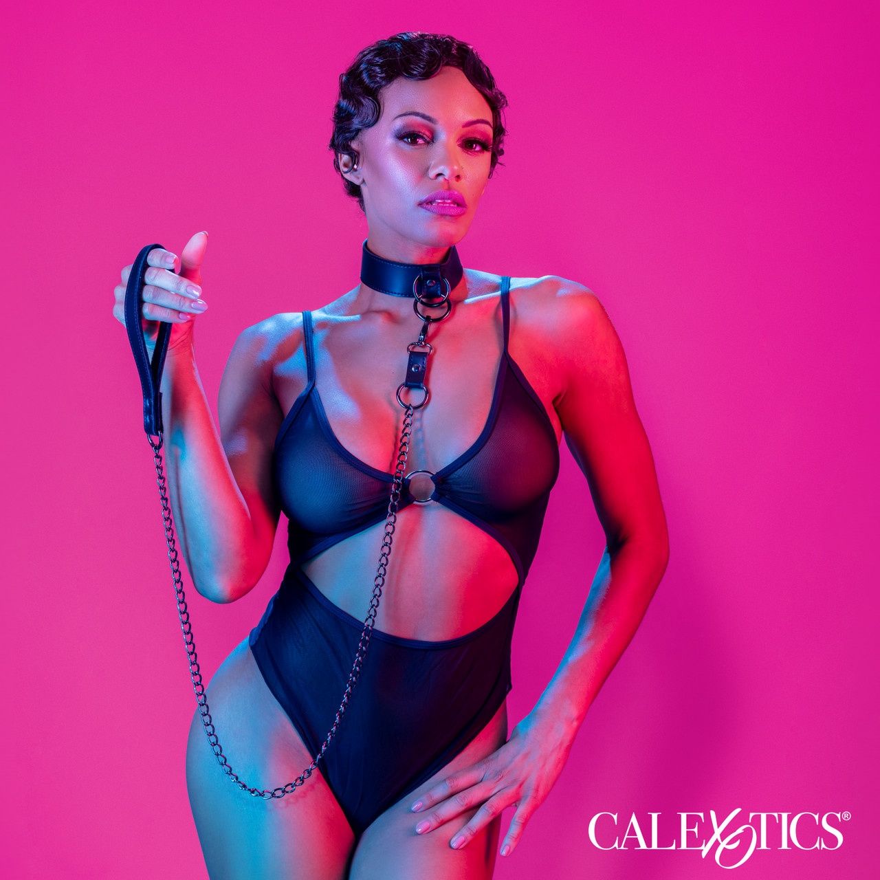 Euphoria Collection Collar &amp; Chain Leash