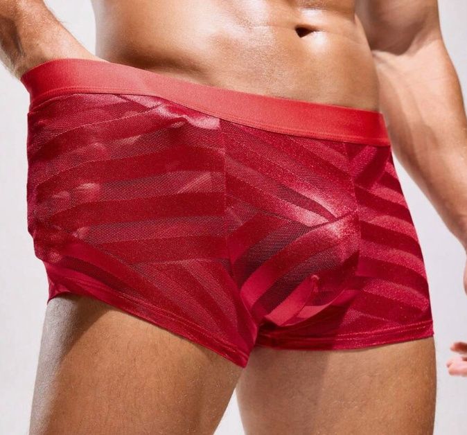 Striped Subtle Stripes Briefs, COLOR: Red, Size: Small