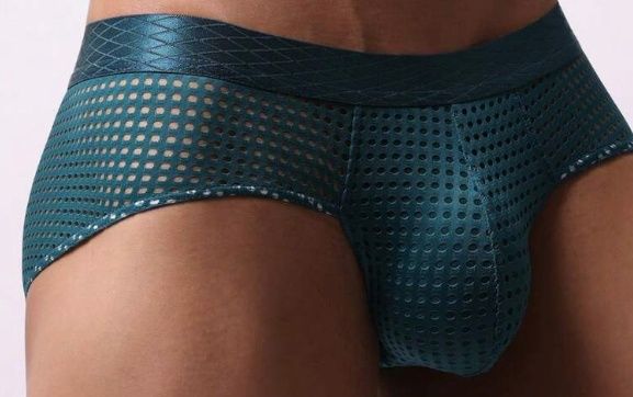Solid Net Briefs, COLOR: Dark Green, Size: Medium