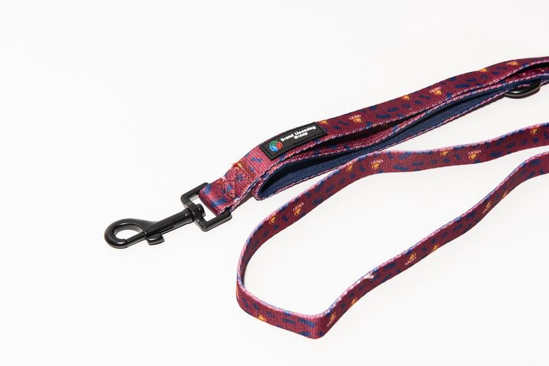 Pet Lead