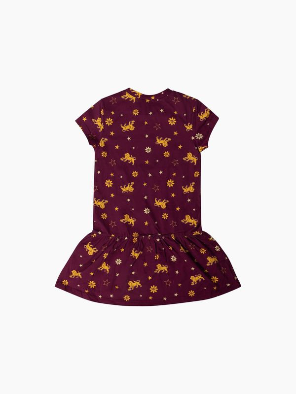 Brisbane Lions Jersey Dress