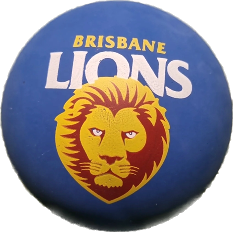 Sherrin Football - Bounce Ball