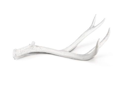 Antler Object White