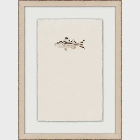 PETITE FISH