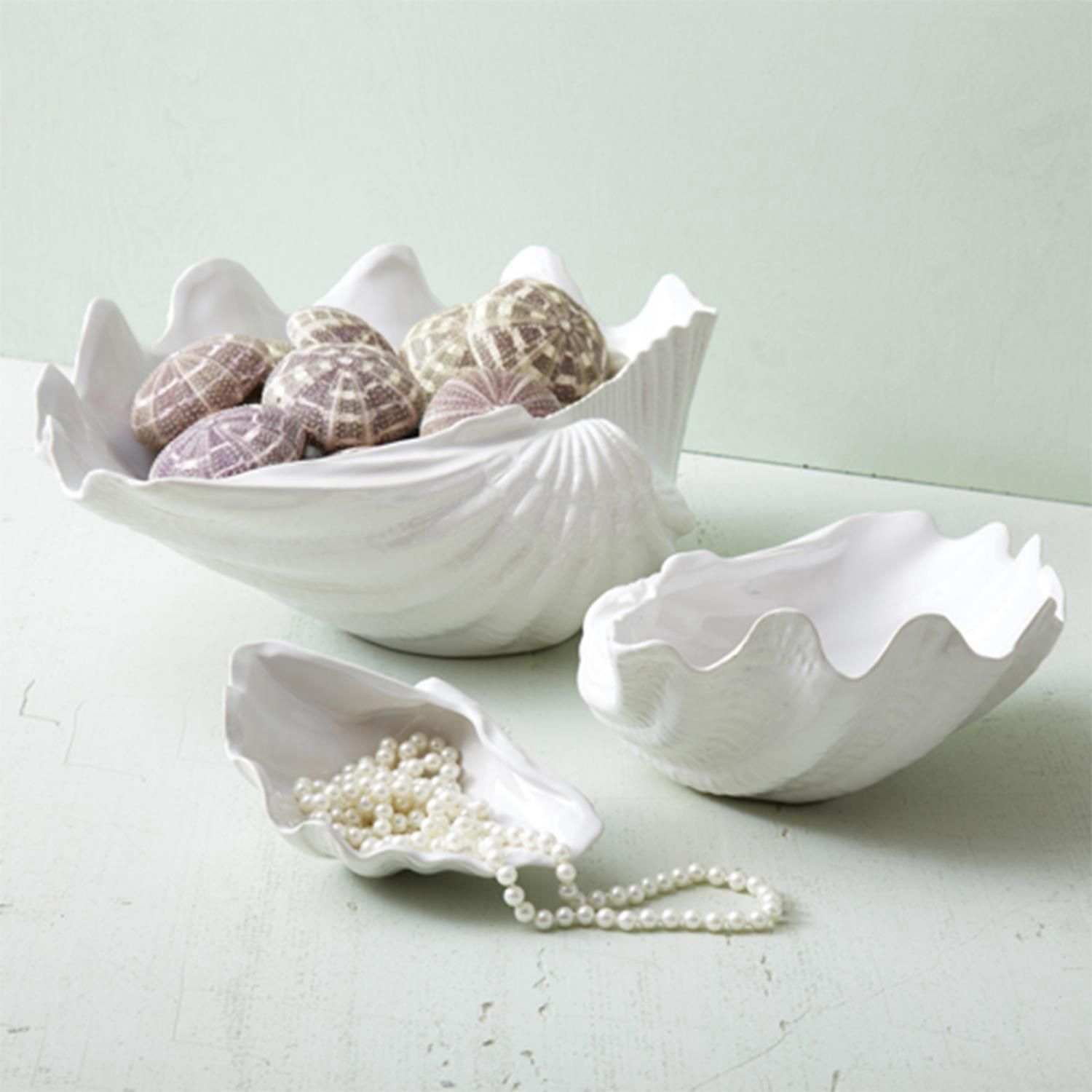 MED CLAM SHELL