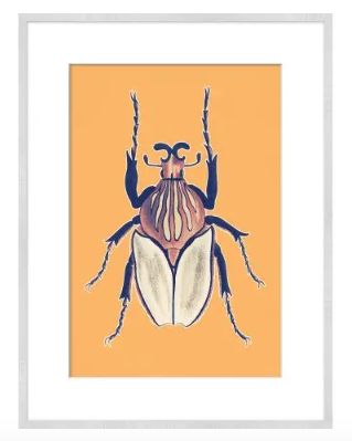 BEETLE BUG 1