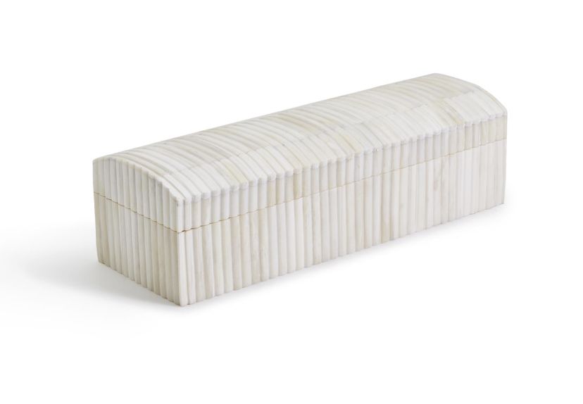 BONE DOME BOX ZCT002