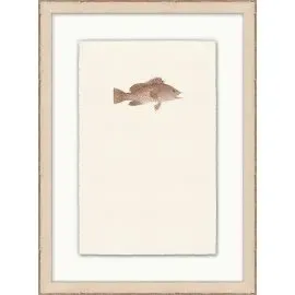 PETITE FISH