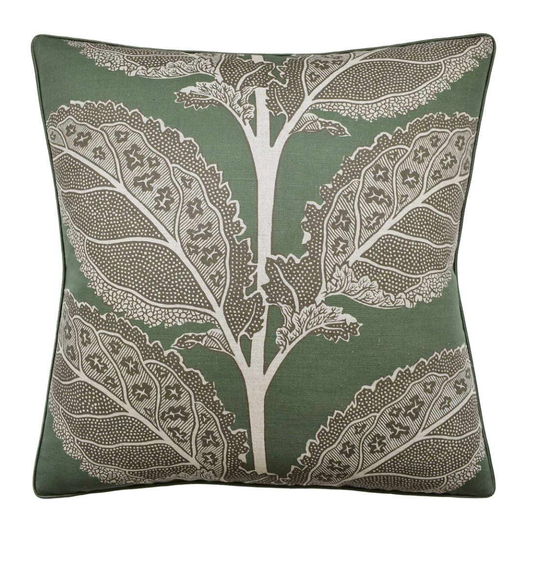 LACINATO WILD SAGE 22"