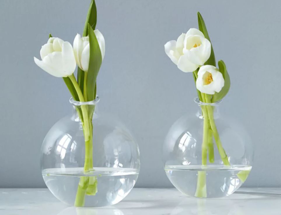 GLASS SPHERE BUD VASE CLEAR