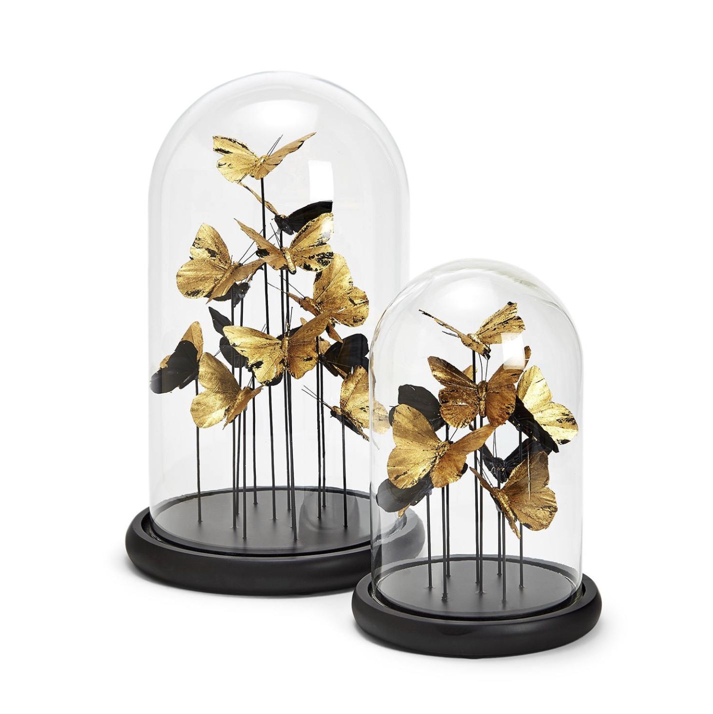 GOLDEN BUTTERFLY IN DOME