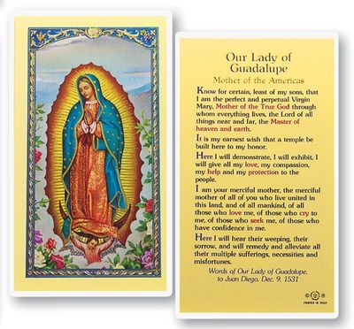 Our Lady of Guadalupe Mother of the Americas Holy Cards