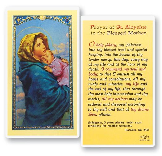 Prayer of St. Aloysius to the Blessed Mother ( Madonna of the Streets) Holy Cards
