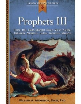 Prophets III:  Hosea, Joel, Amos, Obadiah, Jonah, Micah, Nahum, Habakkuk, Zephaniah, HAggai, Zechariah, Malachi, by WIlliam Anderson (paperback)