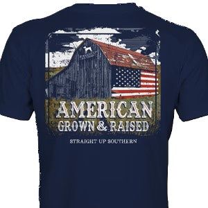 American Barn Raised