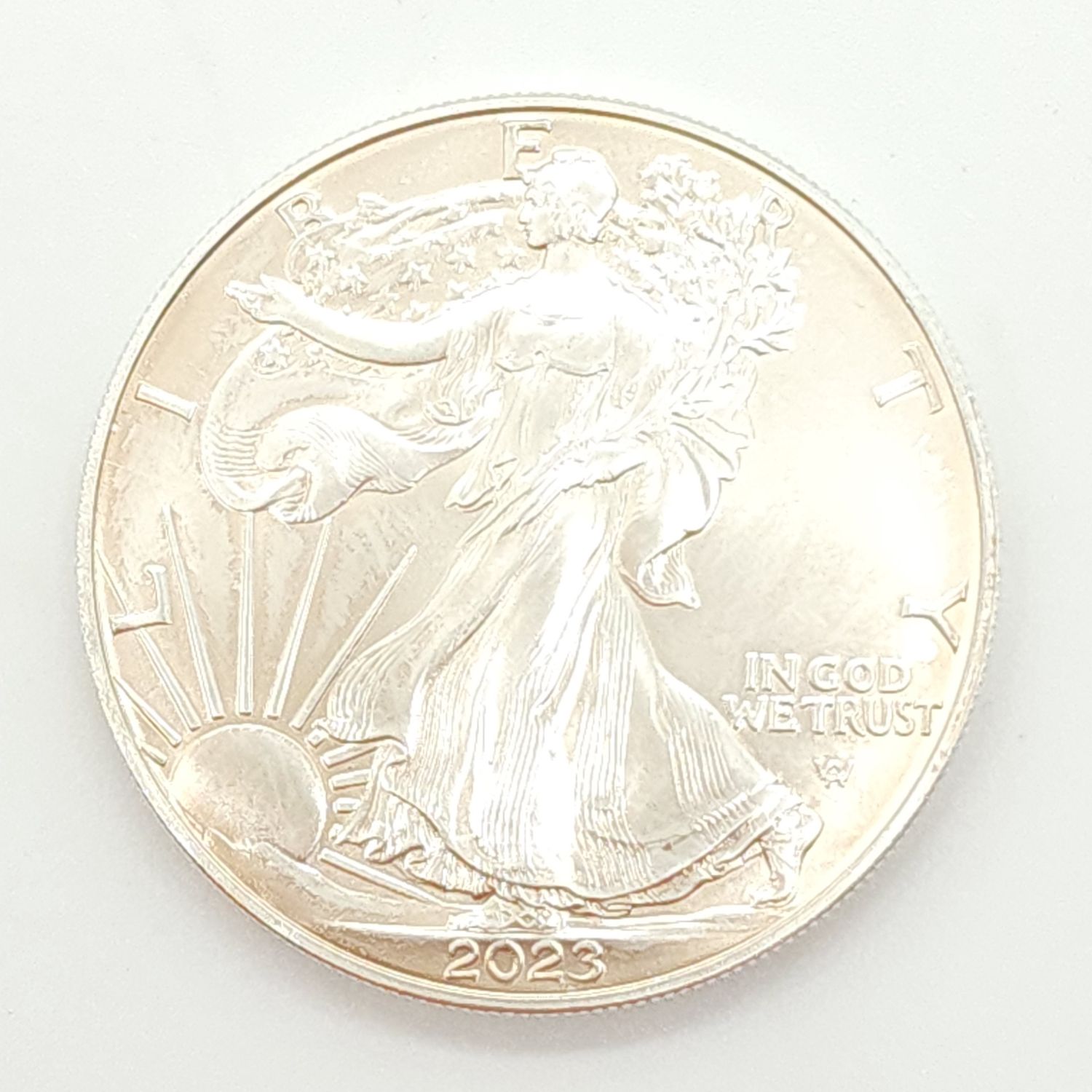 2023 American Silver Eagle #D536
