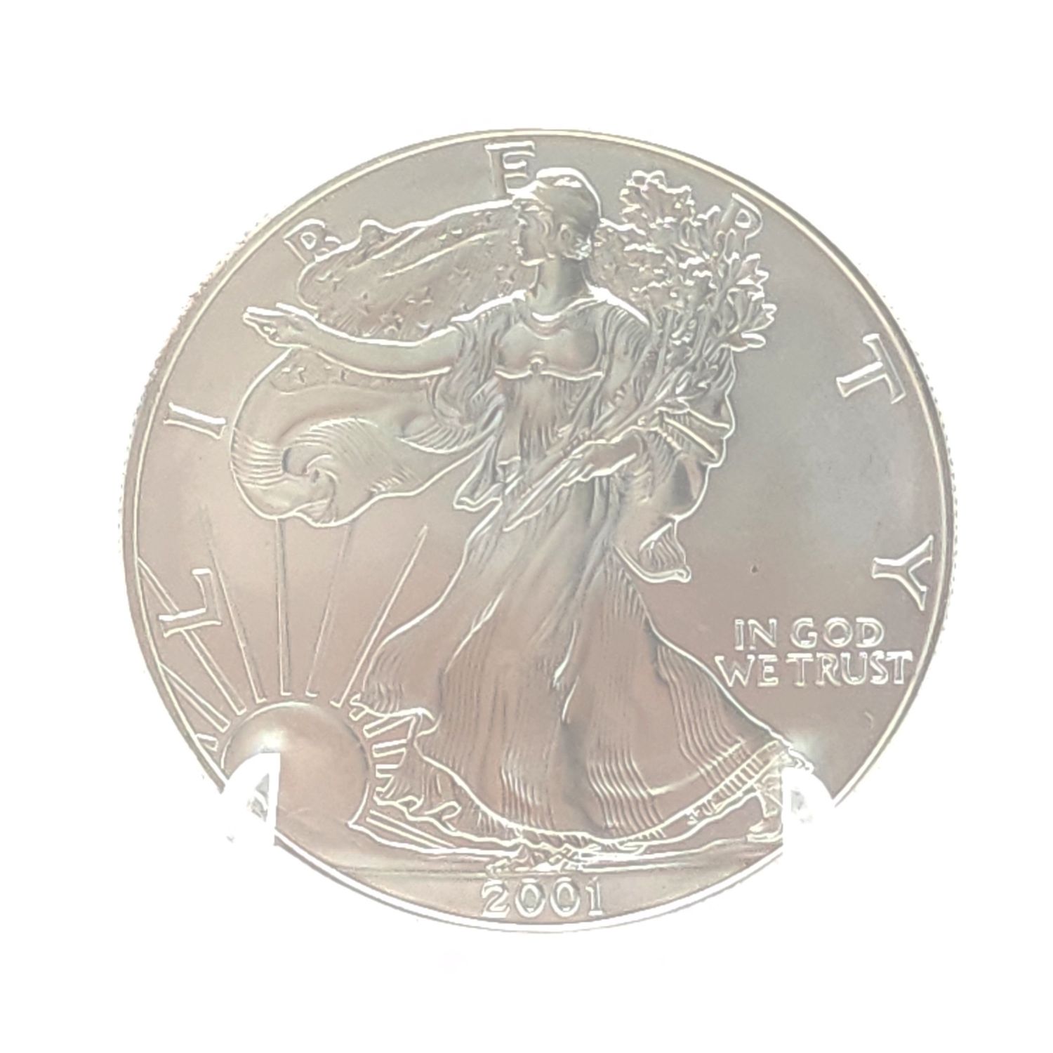 2001 American Silver Eagle..