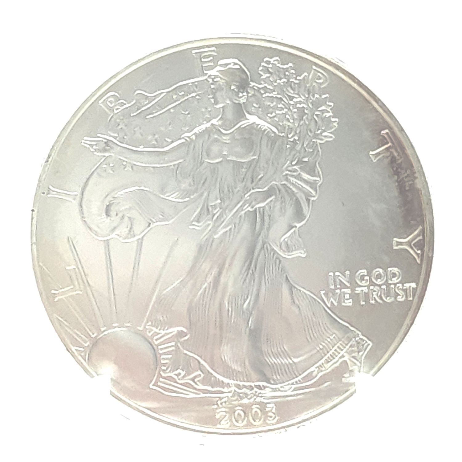 2003 American Silver Eagle..