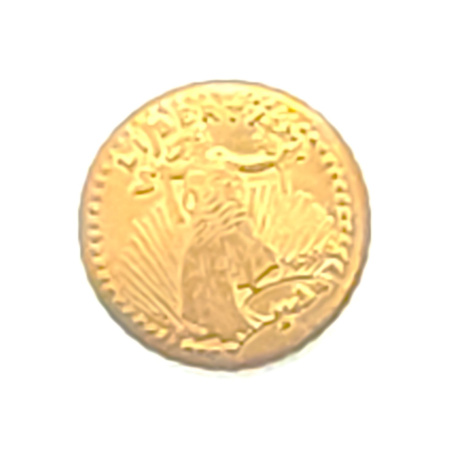 0.5g Gold Coin
