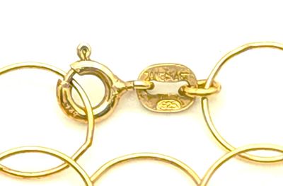 Sterling Silver Goldtone Circle Link Necklace Size: 24"