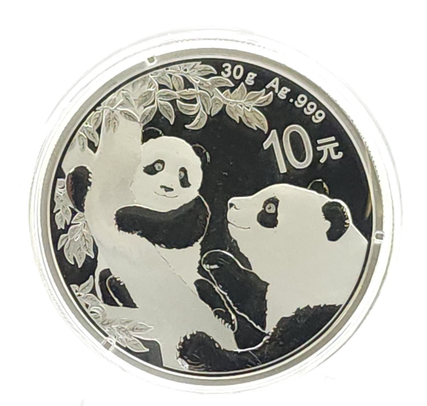 2021 Silver Panda