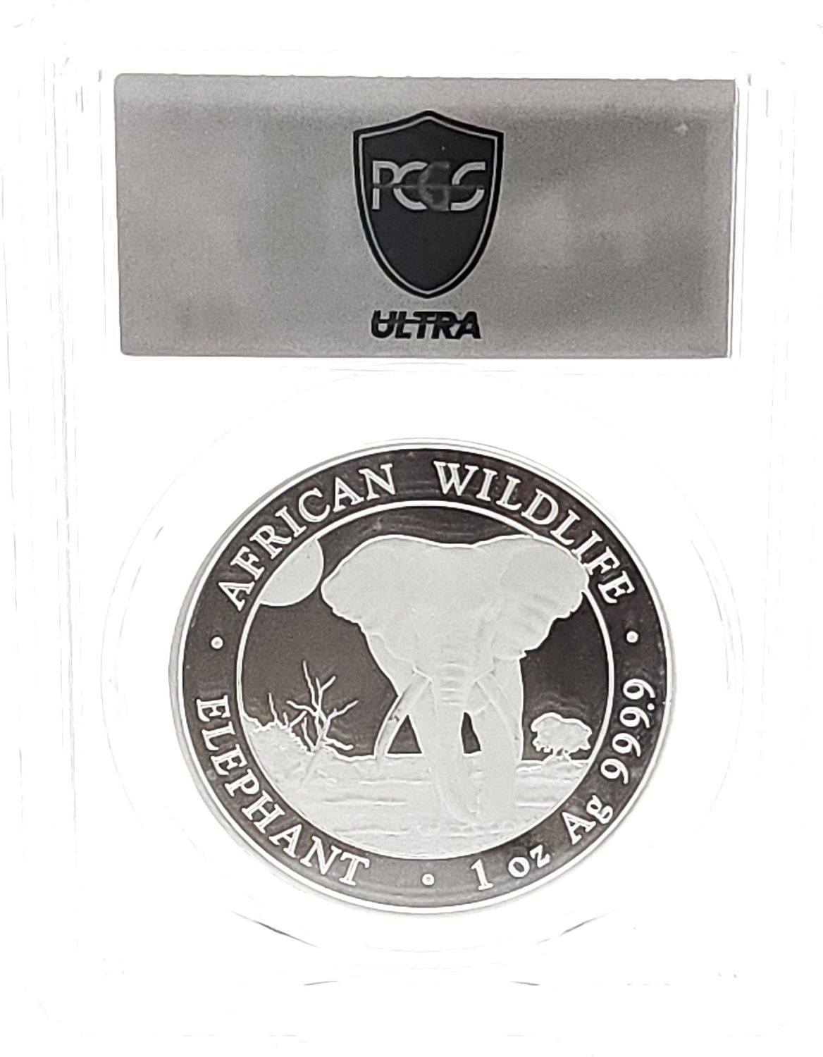 2025 Somalia African Elephant Ag  100 Shillings PCGS MS70 ULTRA