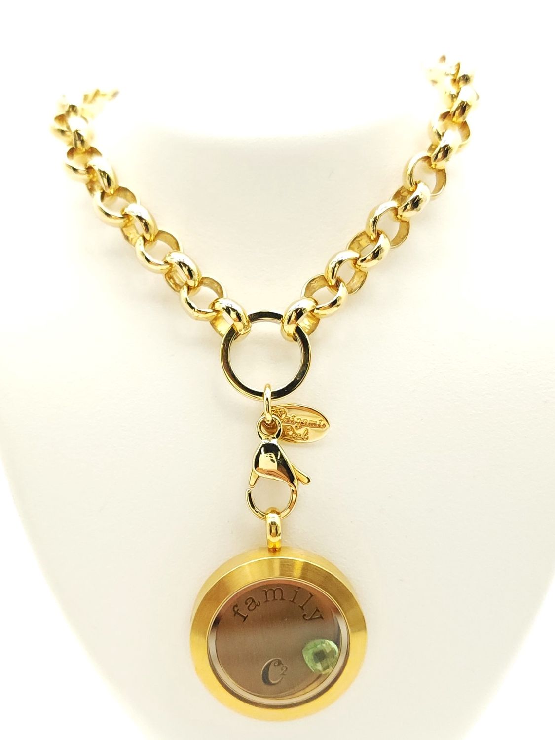 Gold Plated Circle Link Necklace w. Family Living Locket Size: 18-20&quot;