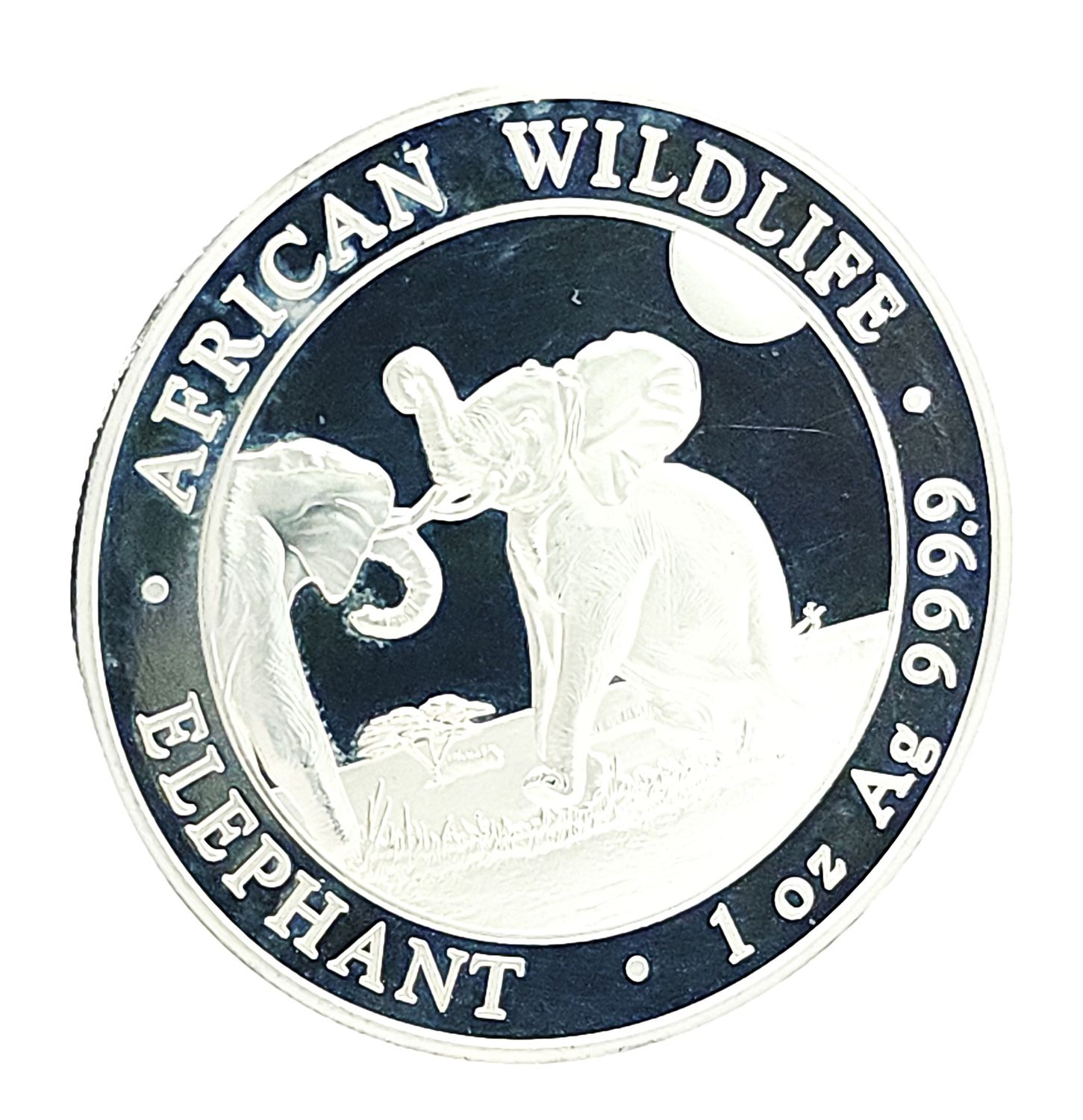 2024 Somalia 100 Shillings African Wildlife- Elephant Silver 1oz