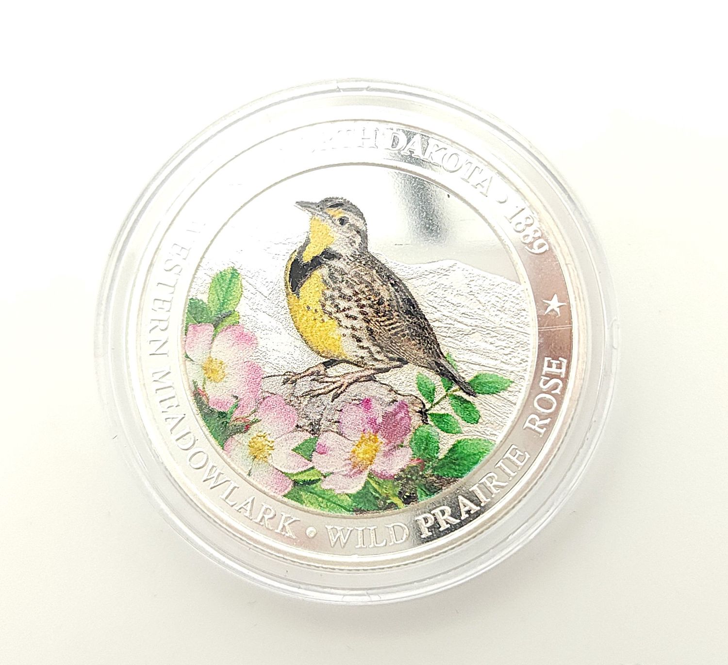 North Dakota western Meadowlark