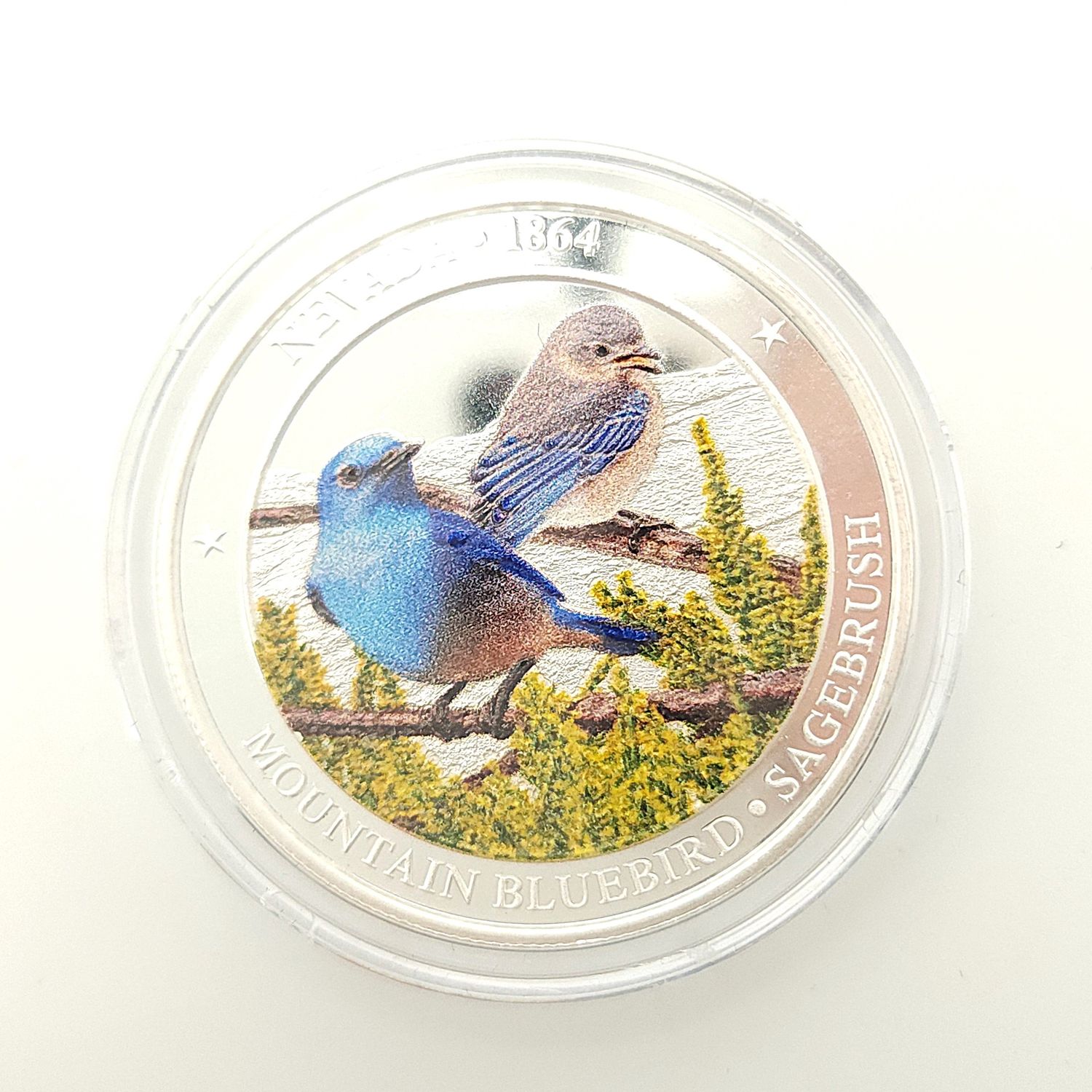 Nevada Mountain Blue Bird