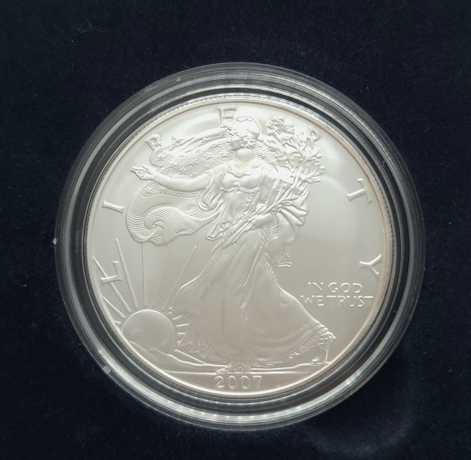 2007 American Silver Eagle
