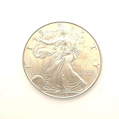 2005 American Silver Eagle .....