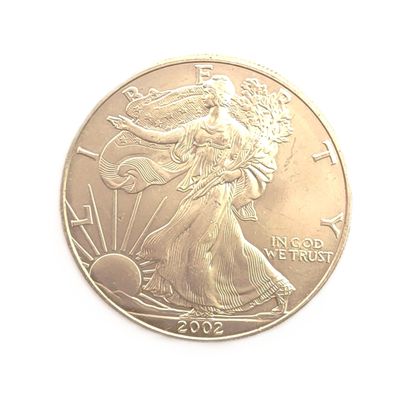 2002 American Silver Eagle.