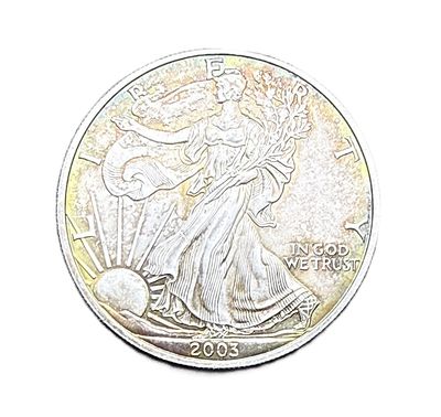 2003 American Silver Eagle.