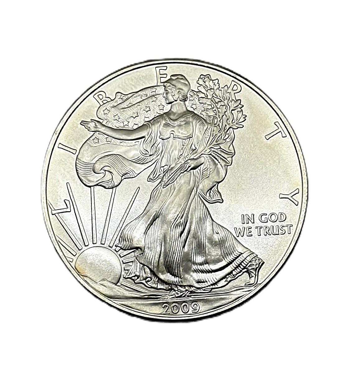 2009 American Silver Eagle 1 oz Coin
