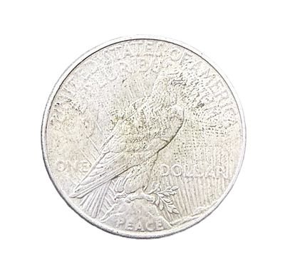 1934 Peace Silver  Dollar