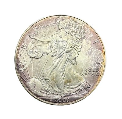 2000 American Silver Eagle 1 oz Dollar- Toned