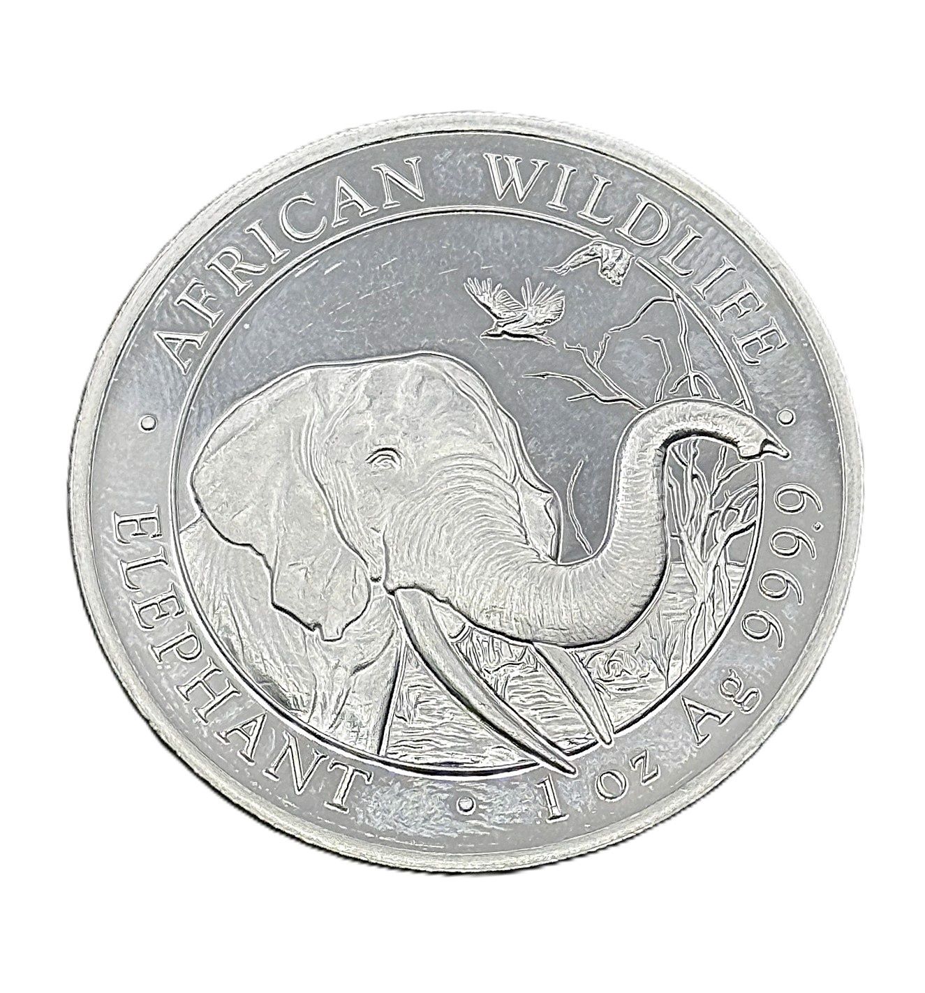 2018 Somalia 1 oz Silver Elephant BU African Wildlife Series